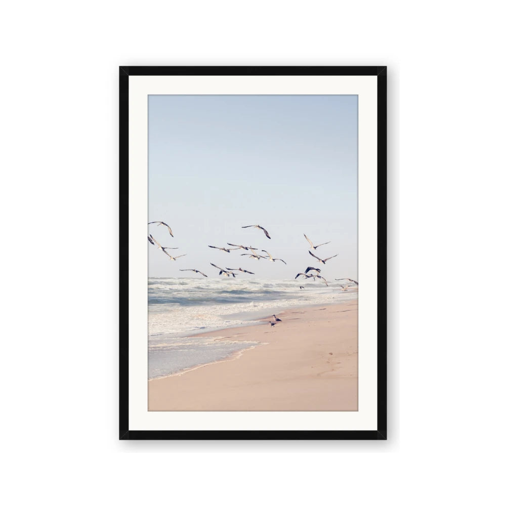 Beach Birds
