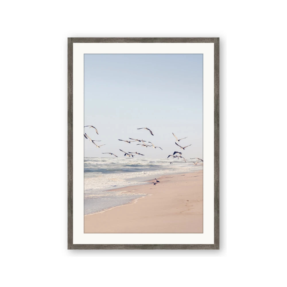 Beach Birds