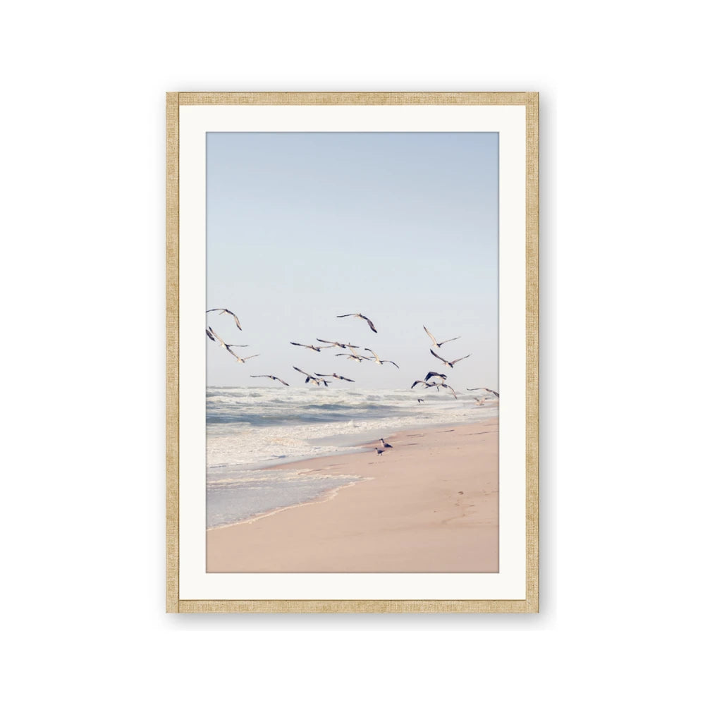 Beach Birds