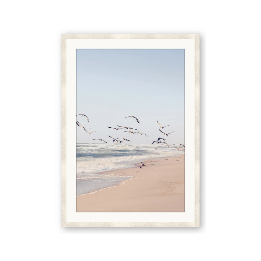 Beach Birds
