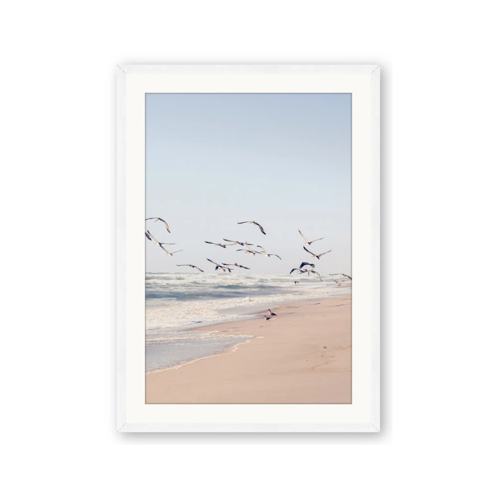 Beach Birds