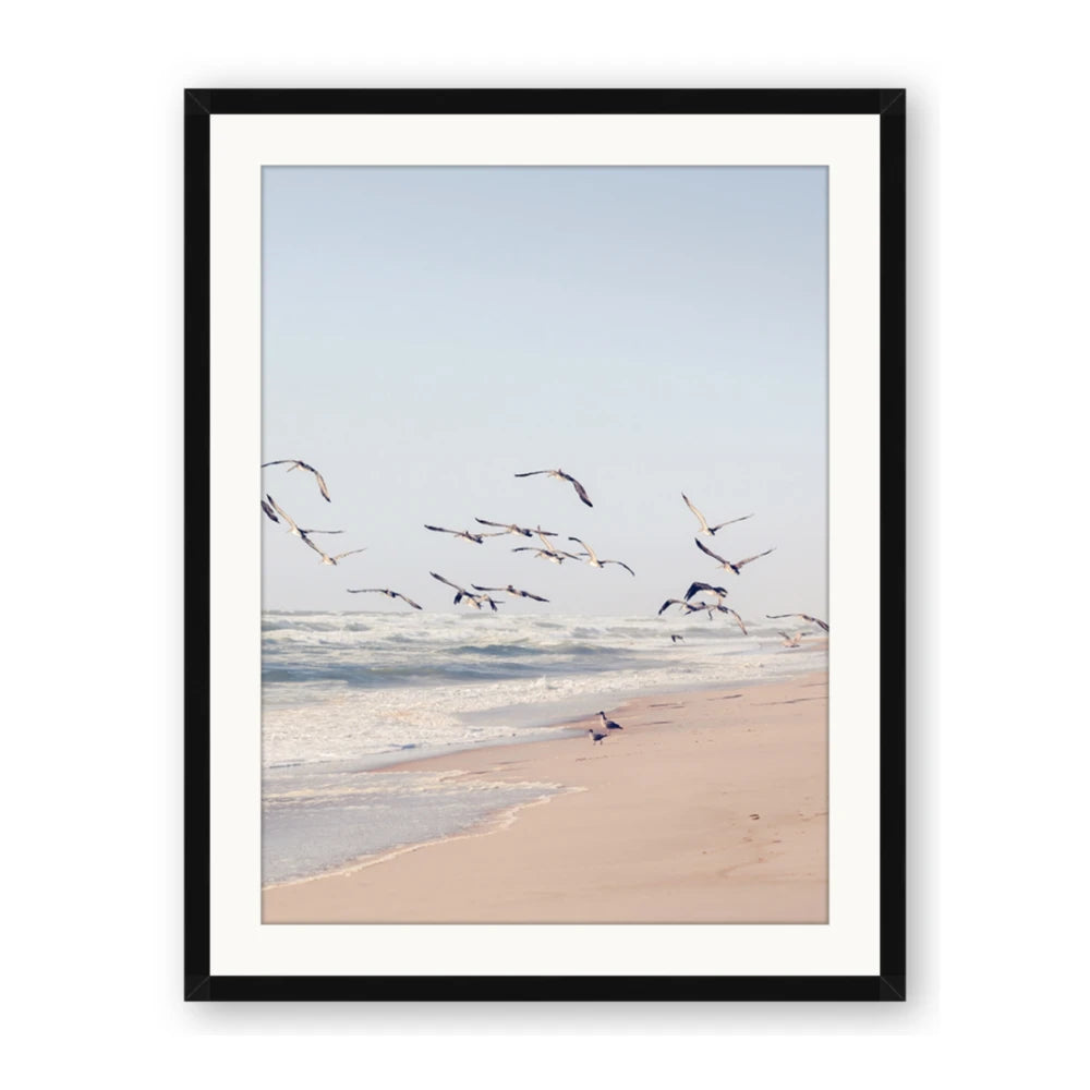 Beach Birds