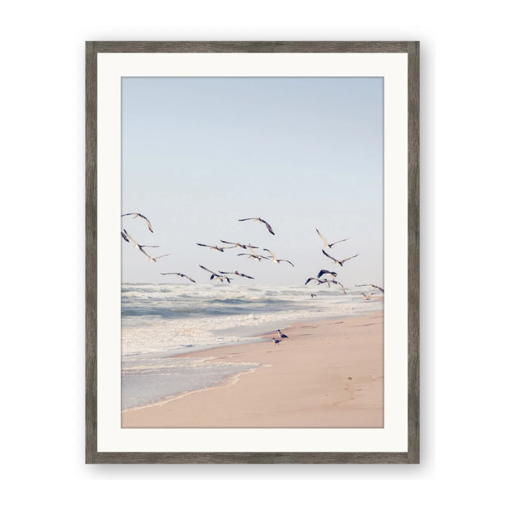 Beach Birds