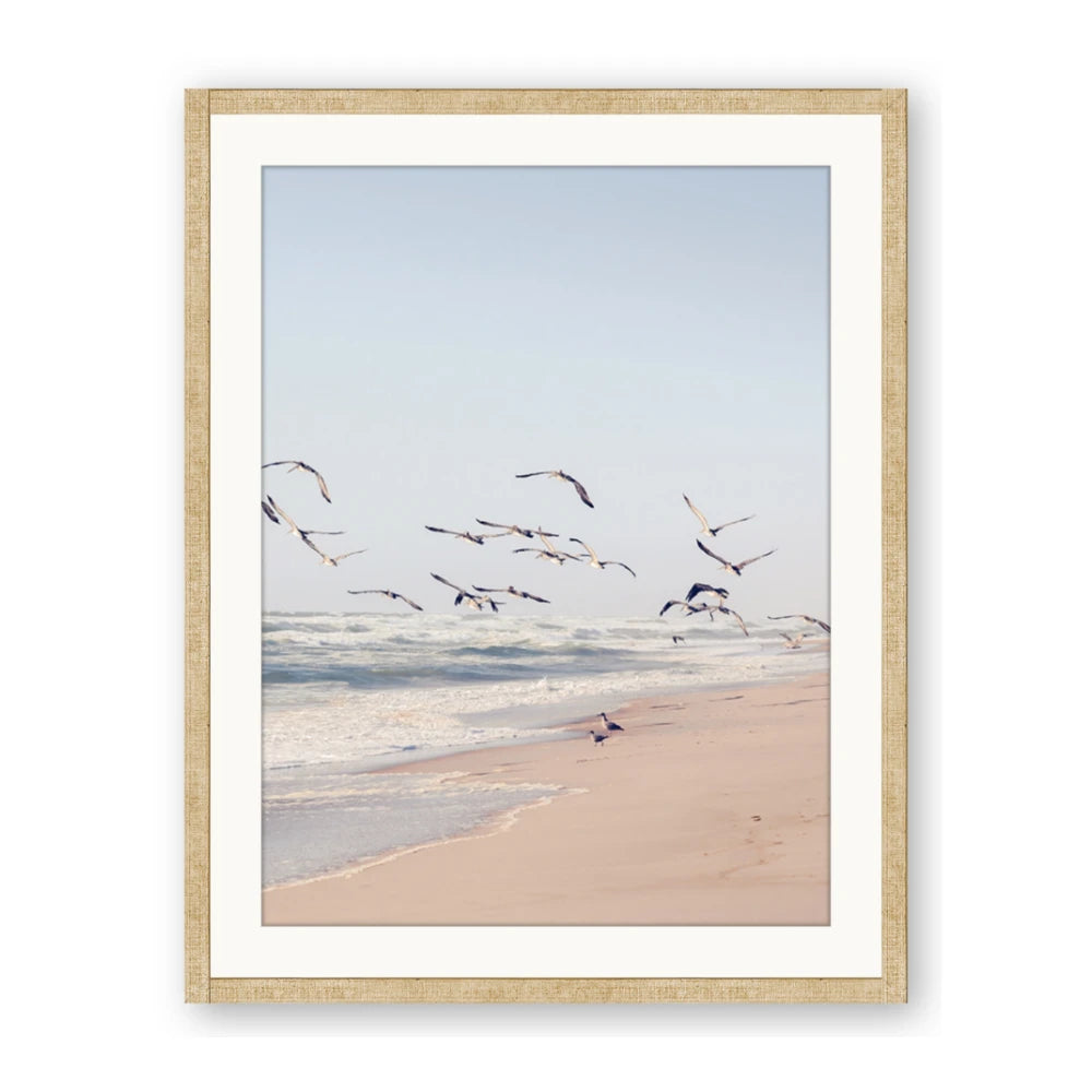 Beach Birds