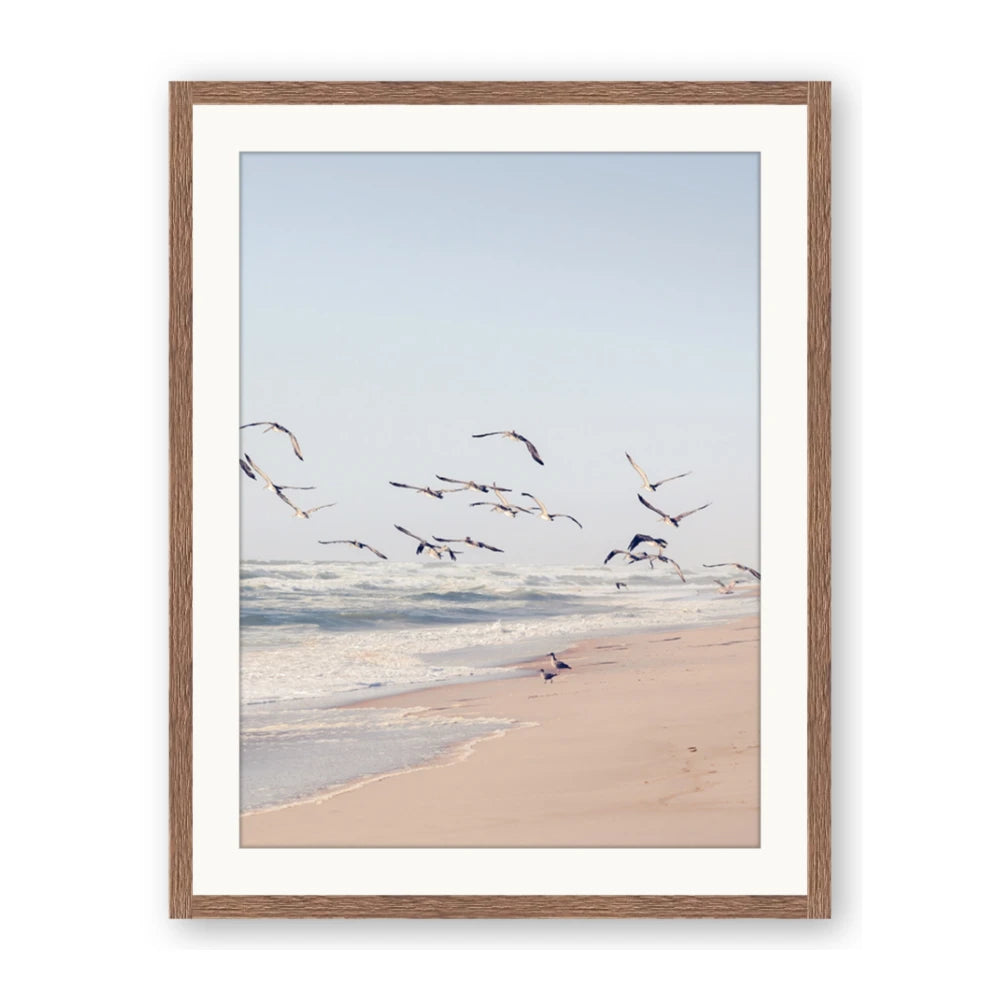 Beach Birds