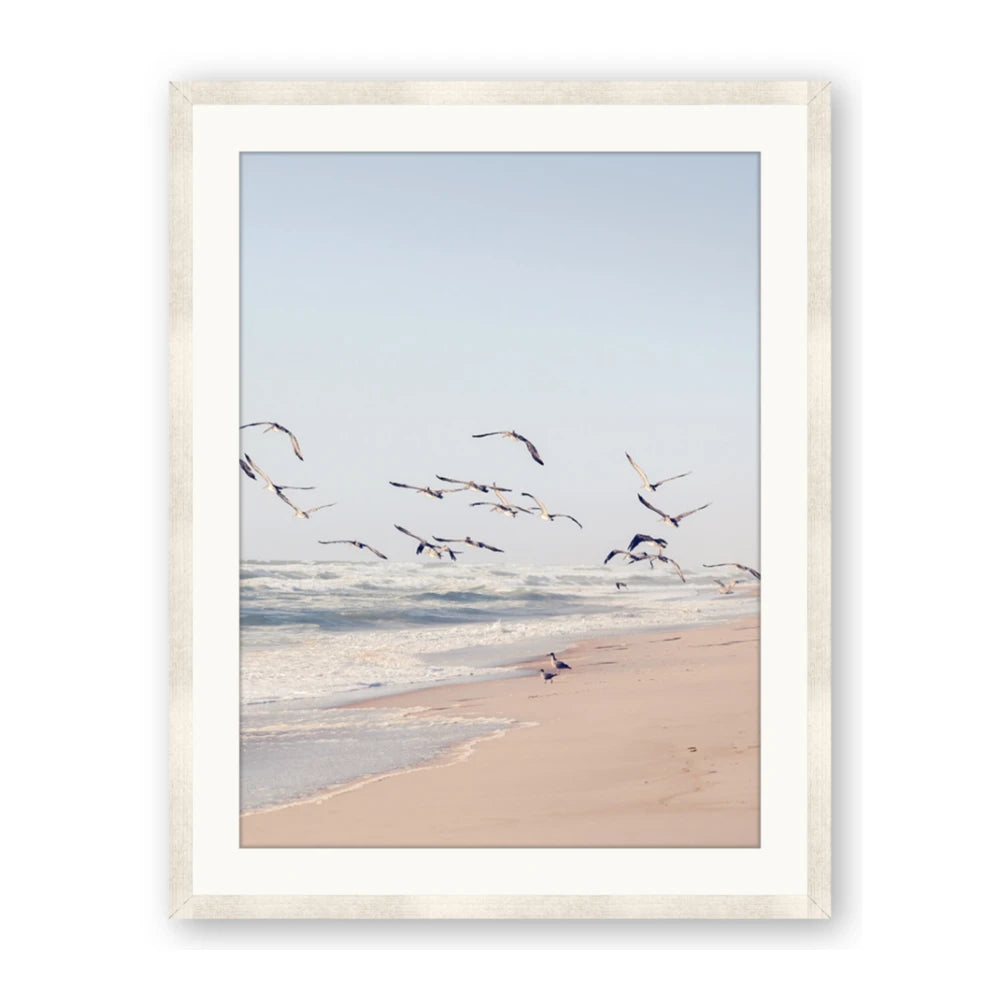 Beach Birds