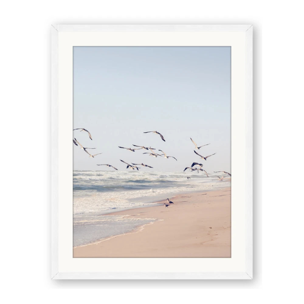 Beach Birds