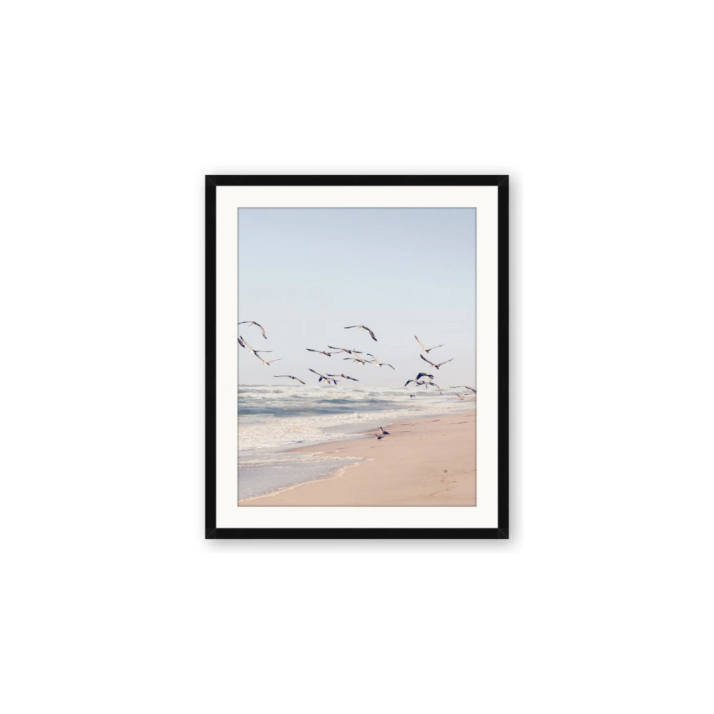 Beach Birds