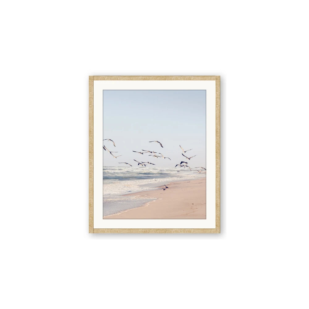 Beach Birds