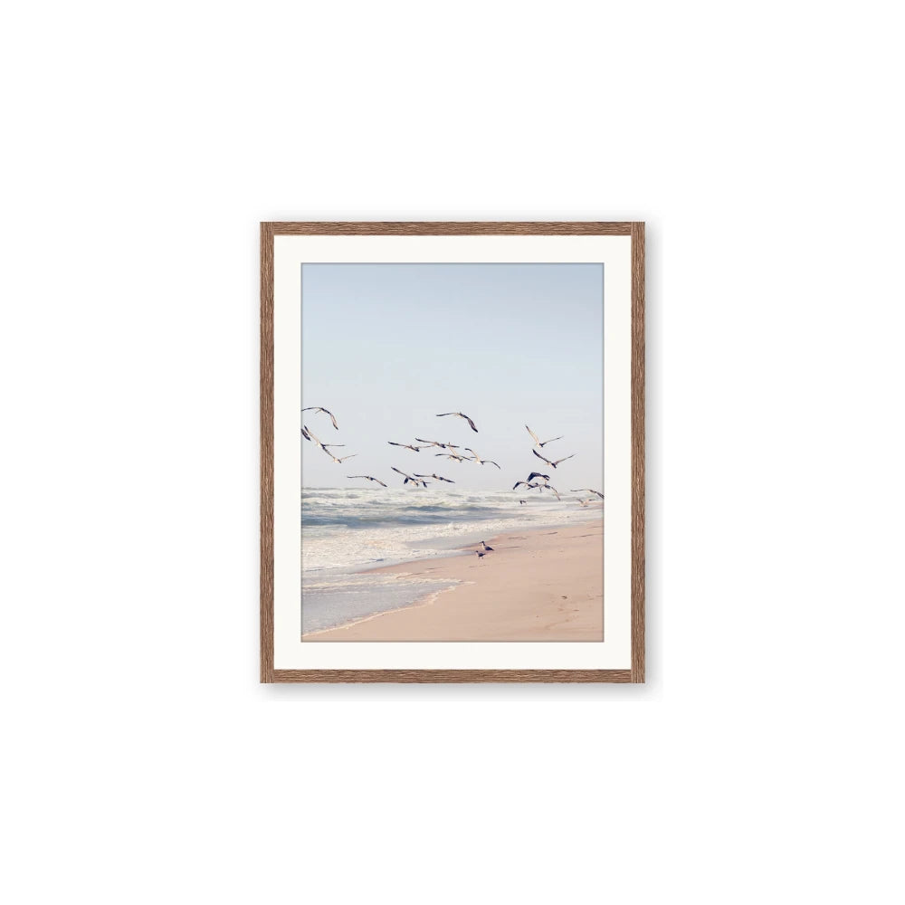Beach Birds