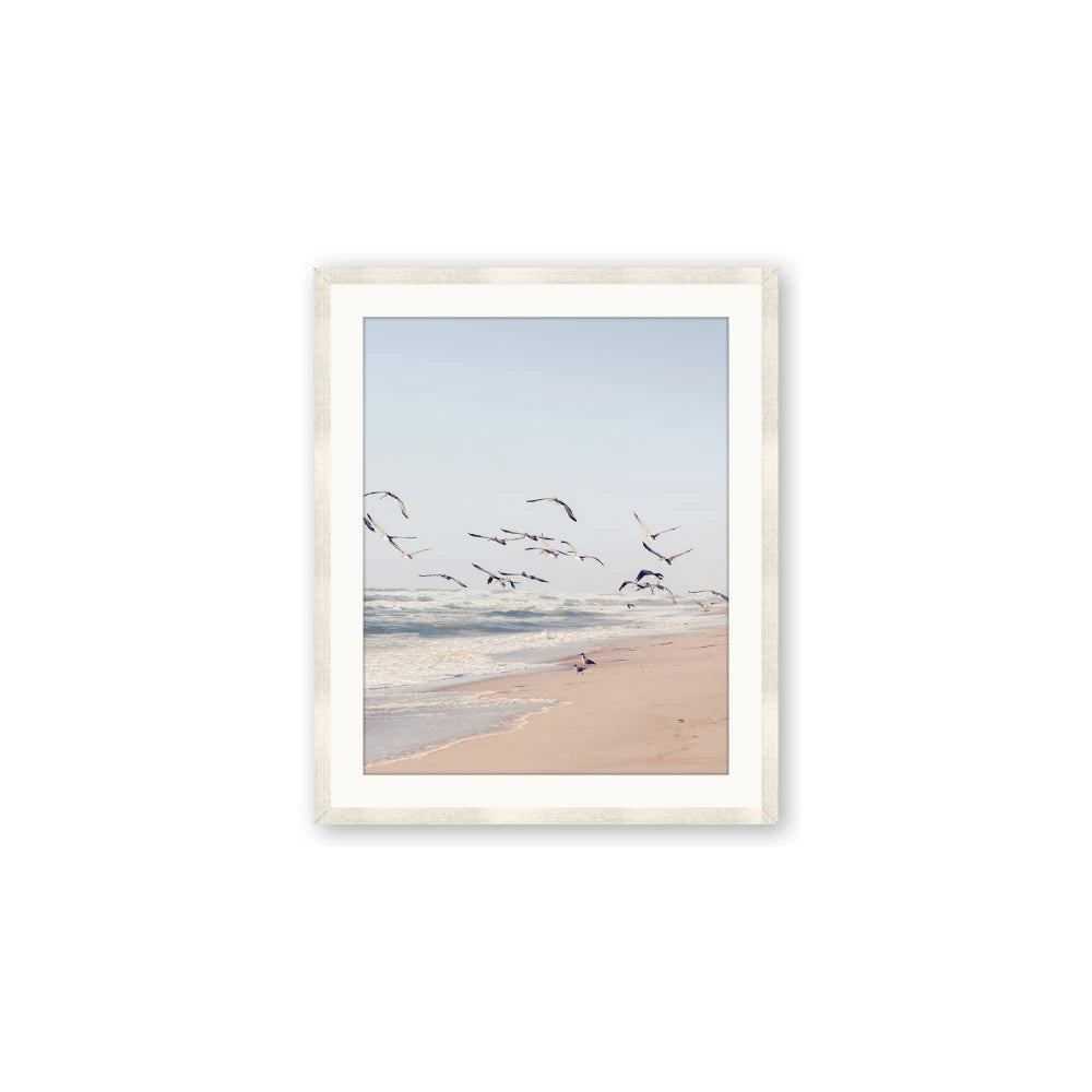 Beach Birds