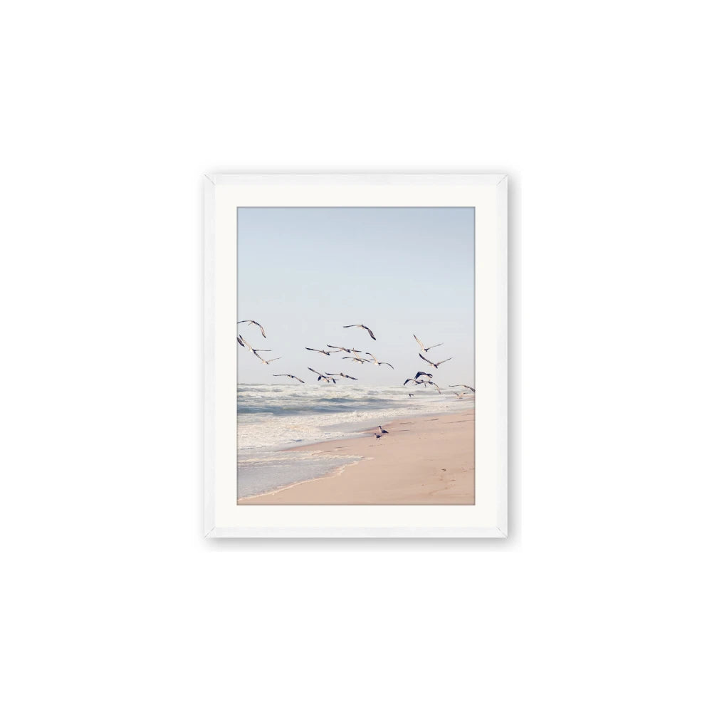 Beach Birds