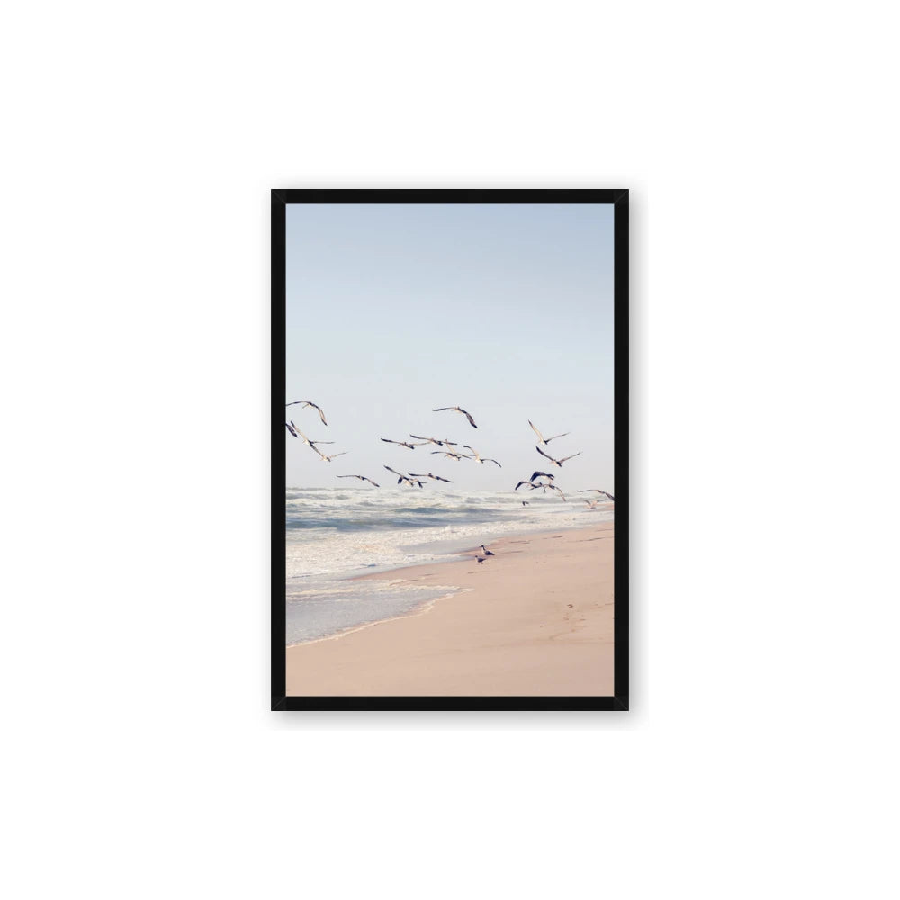 Beach Birds