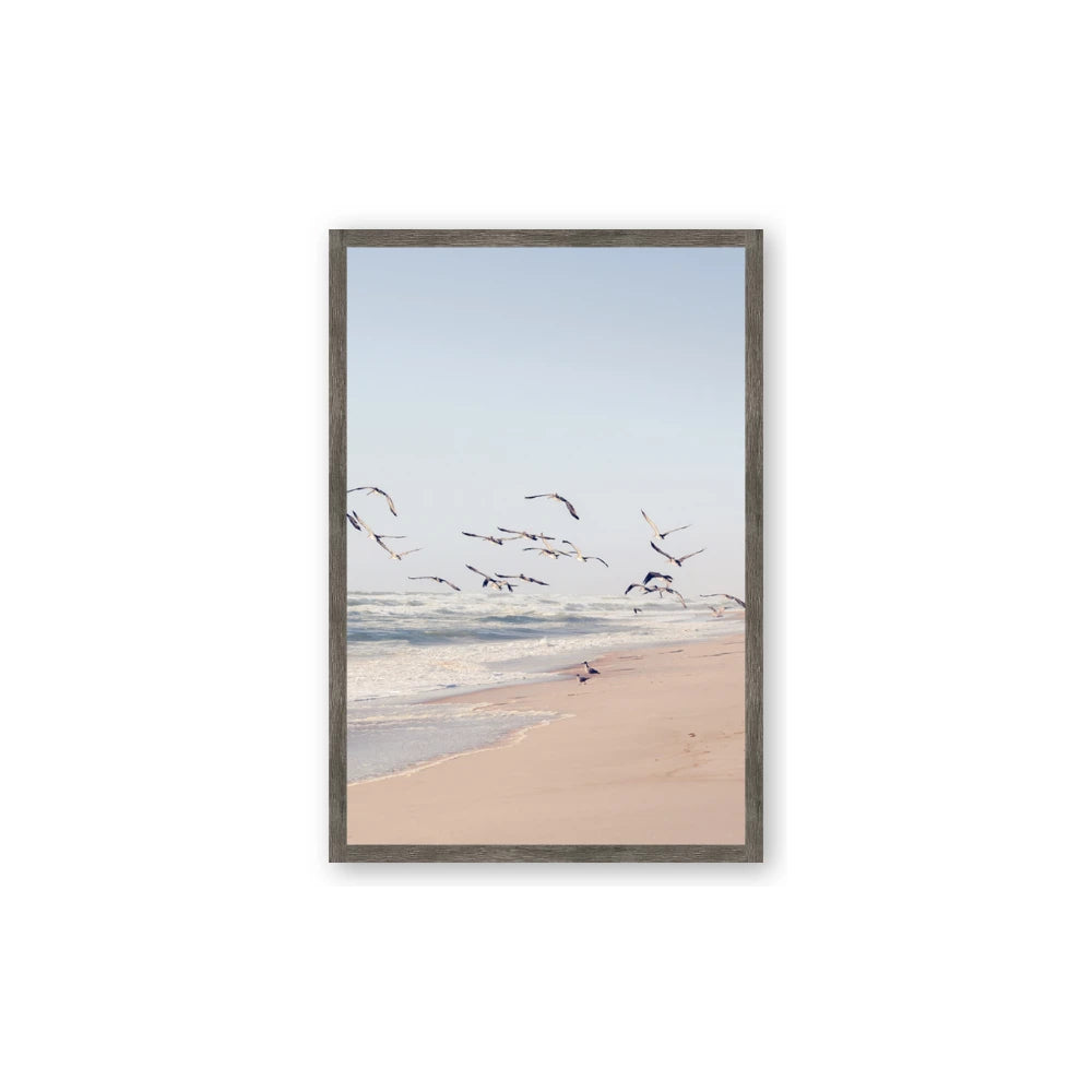 Beach Birds