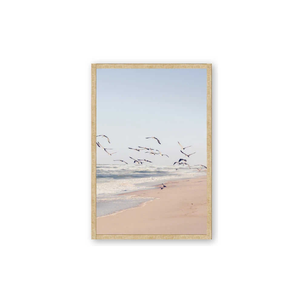 Beach Birds