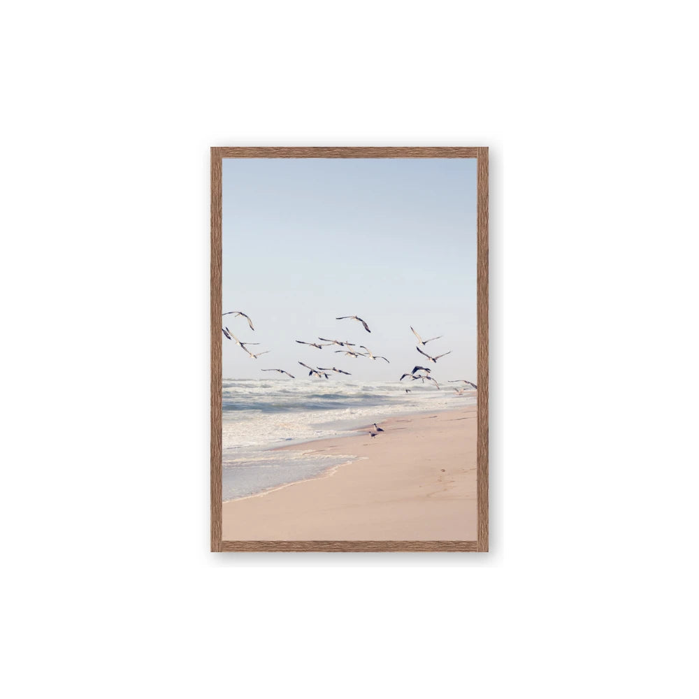 Beach Birds