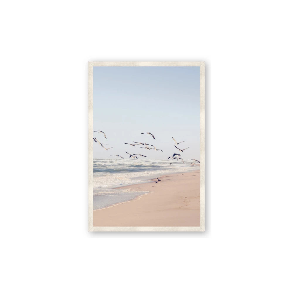 Beach Birds