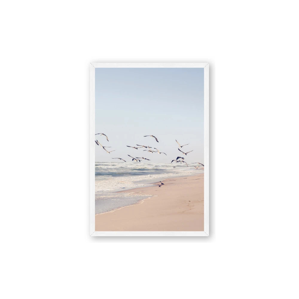 Beach Birds