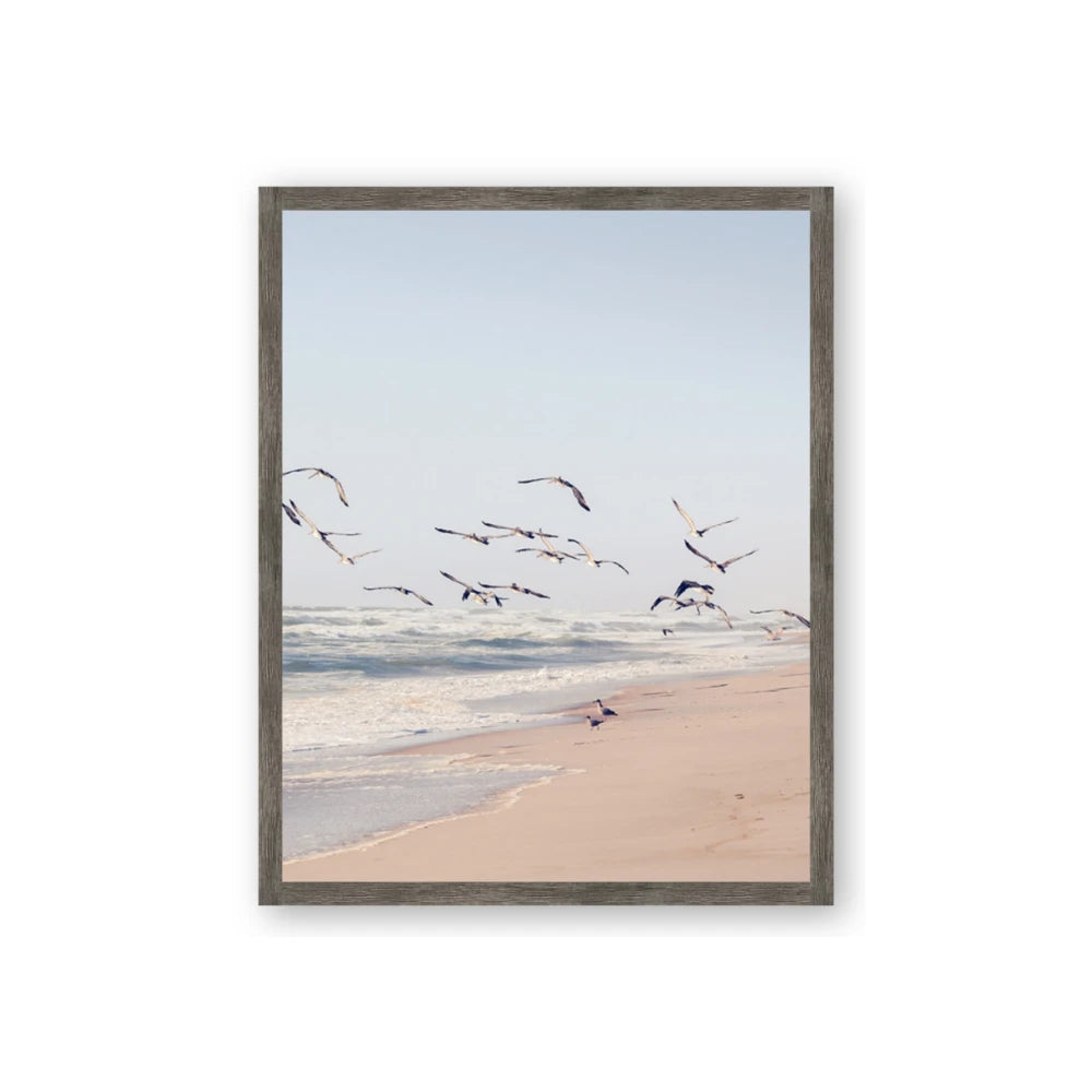Beach Birds