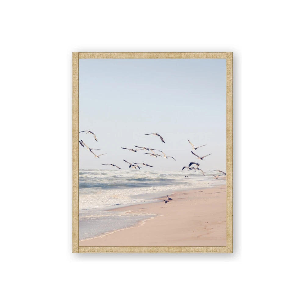 Beach Birds
