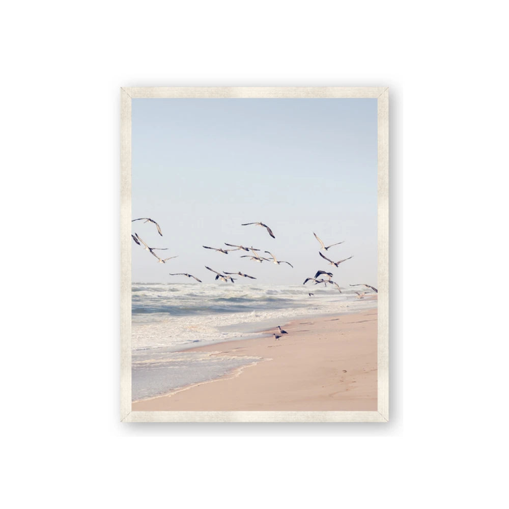 Beach Birds