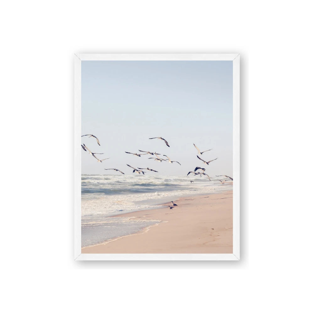 Beach Birds
