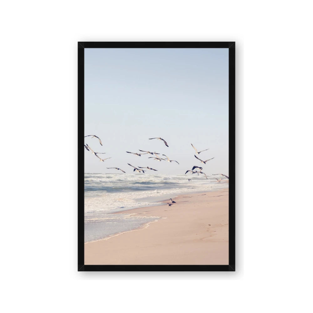 Beach Birds