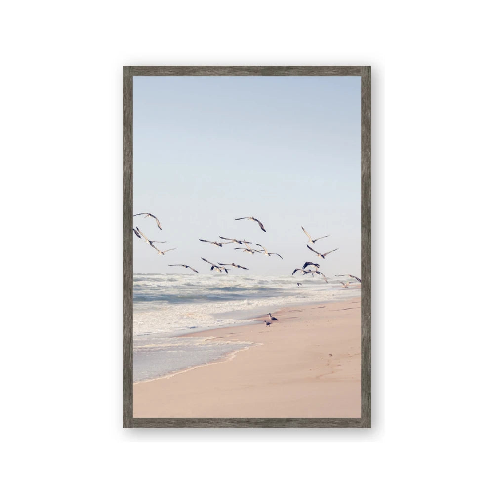 Beach Birds