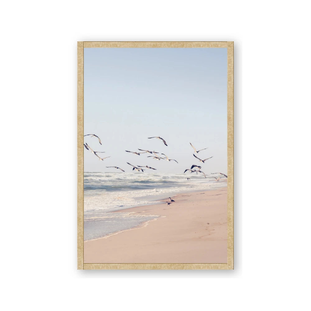 Beach Birds