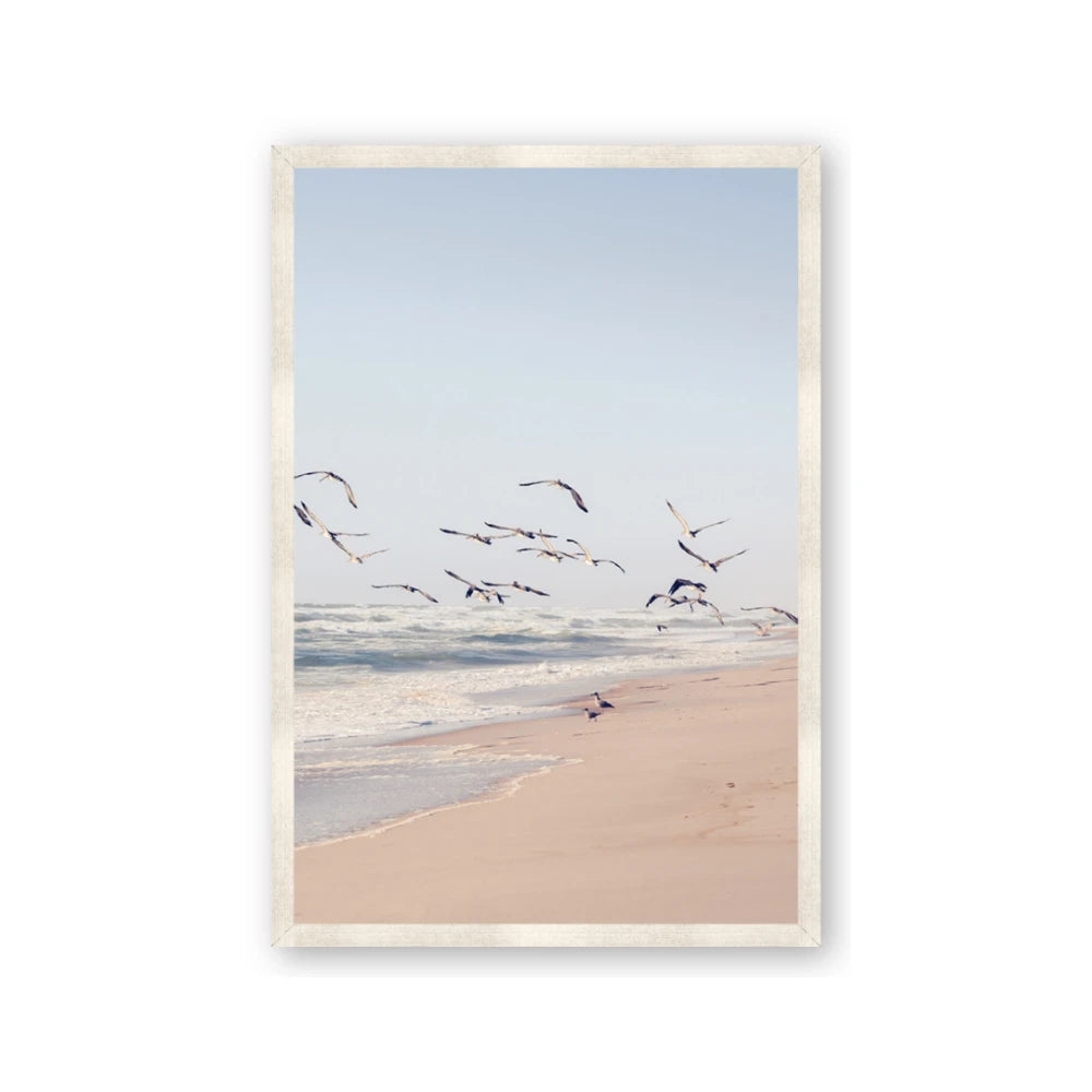 Beach Birds