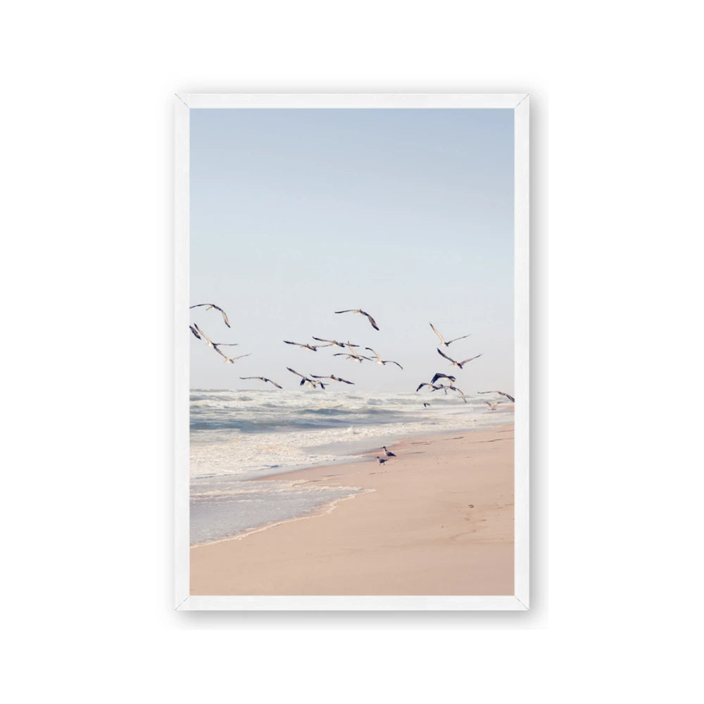 Beach Birds