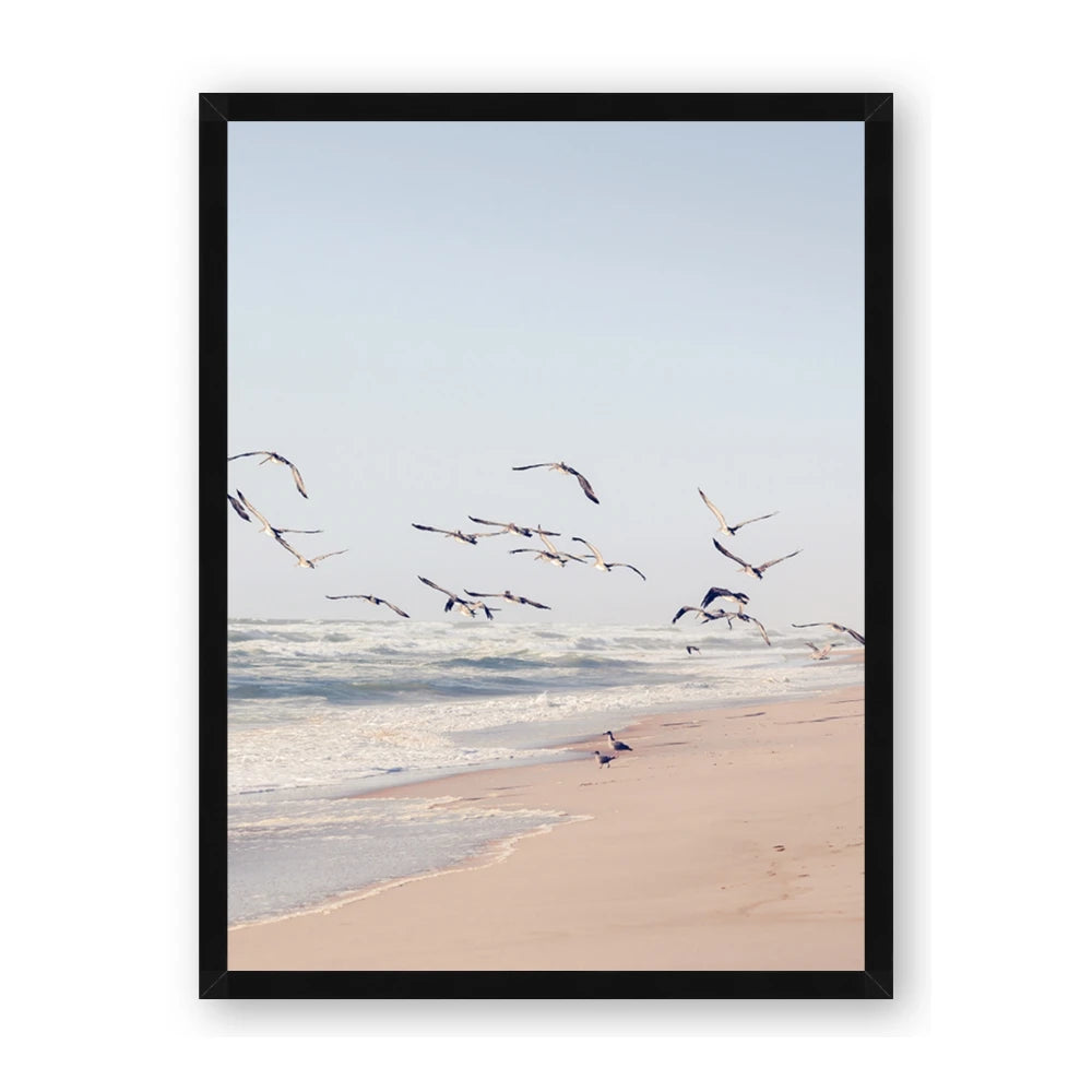 Beach Birds