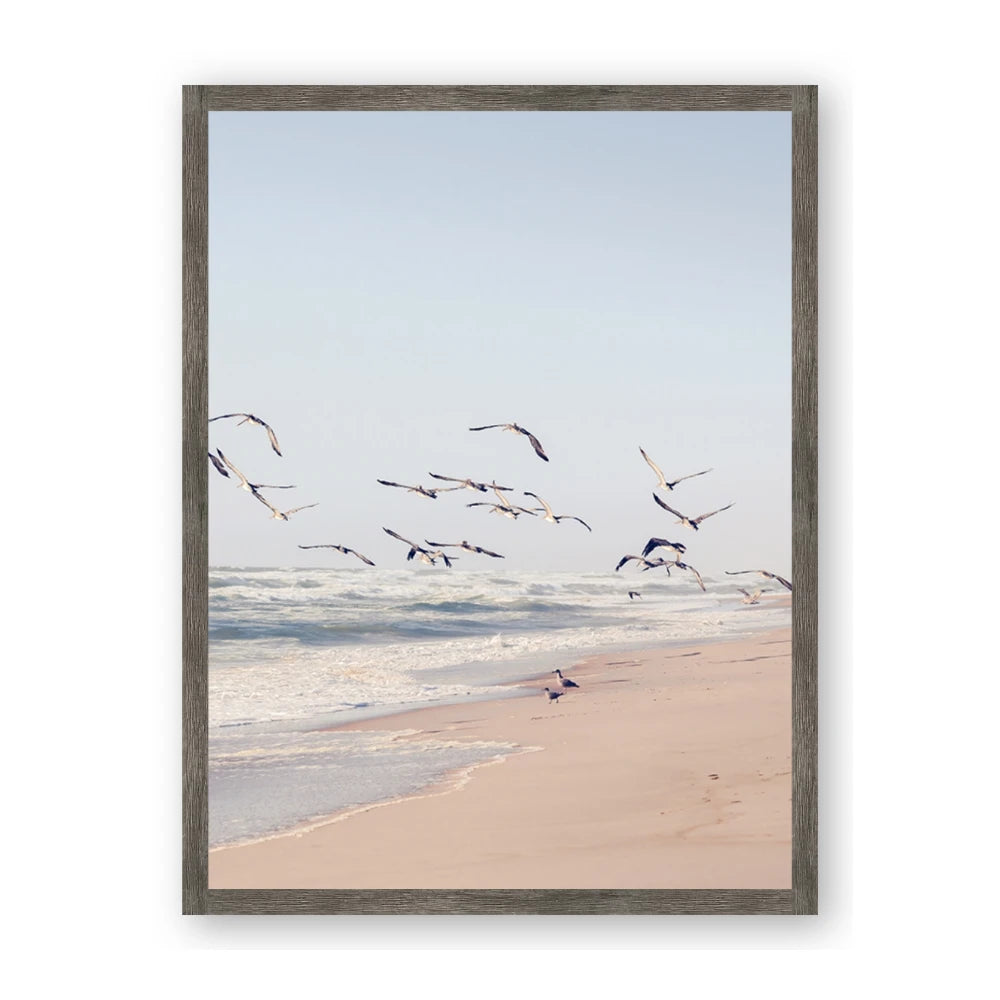 Beach Birds