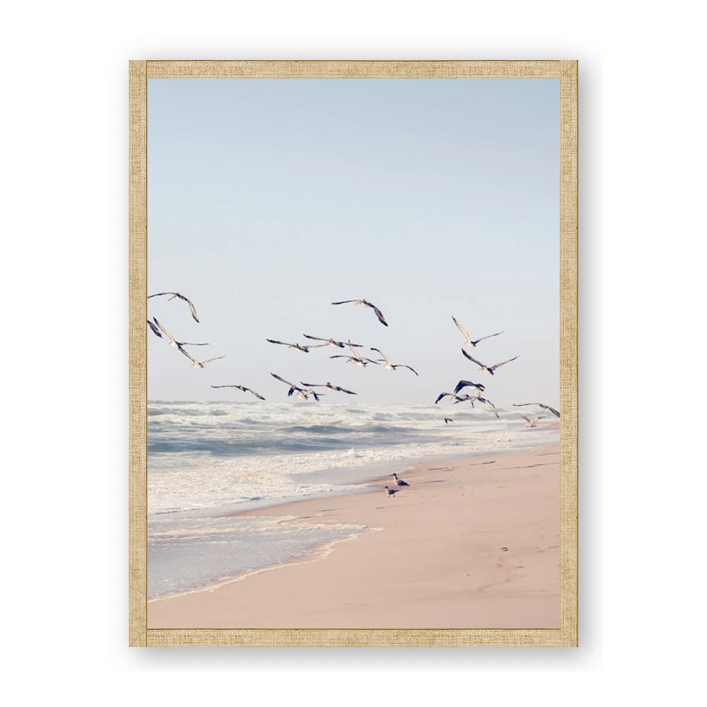 Beach Birds
