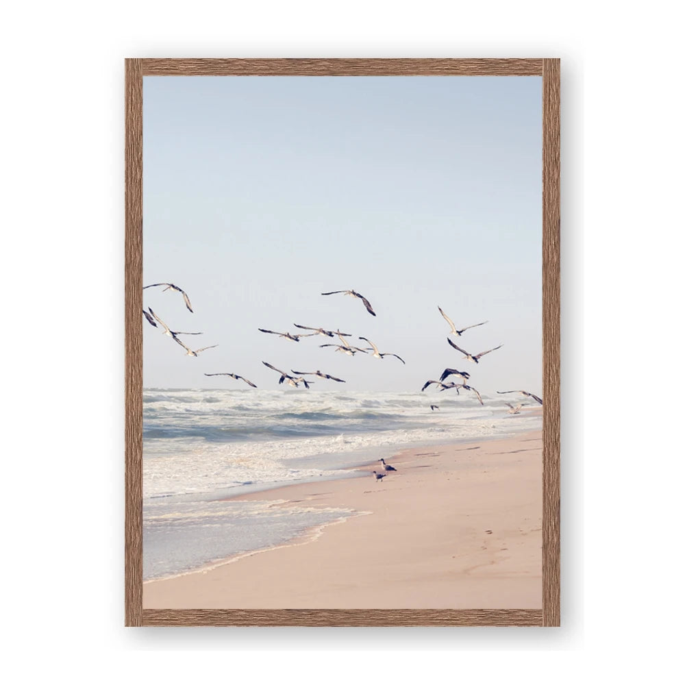 Beach Birds