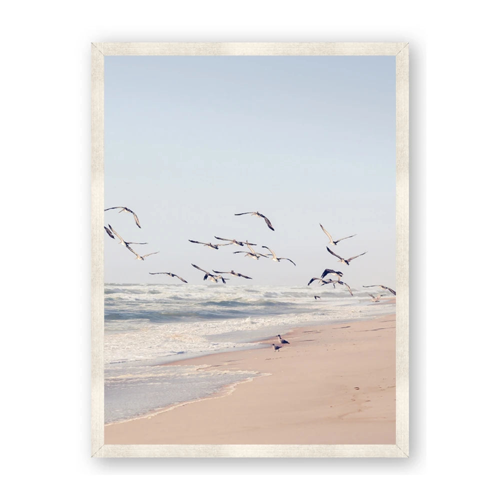 Beach Birds