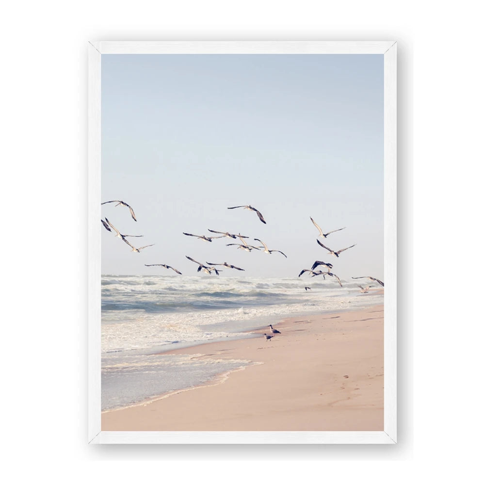 Beach Birds