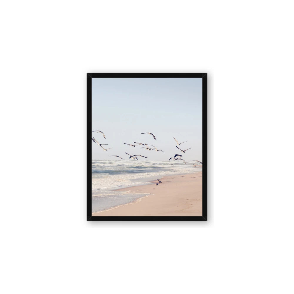 Beach Birds