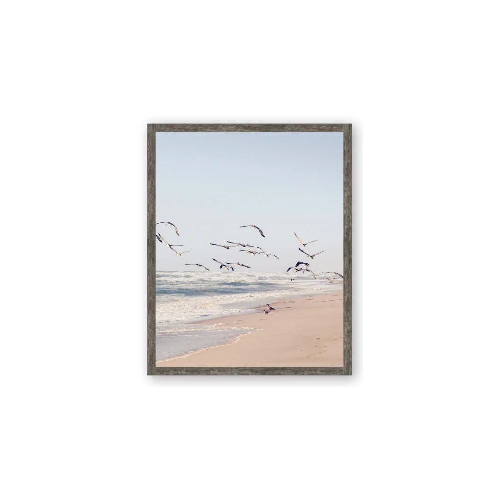 Beach Birds