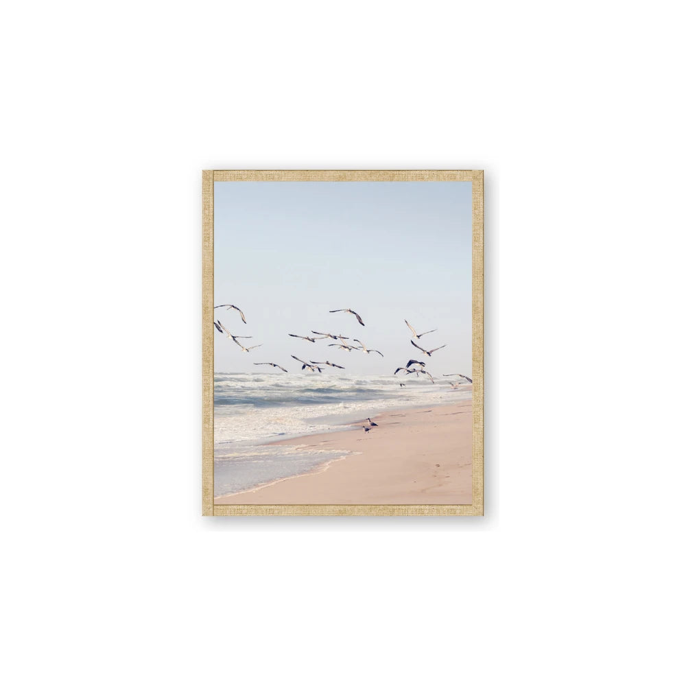 Beach Birds