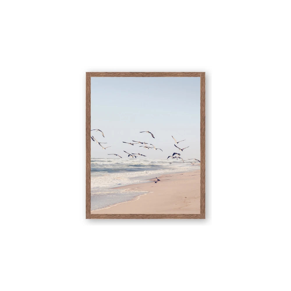 Beach Birds