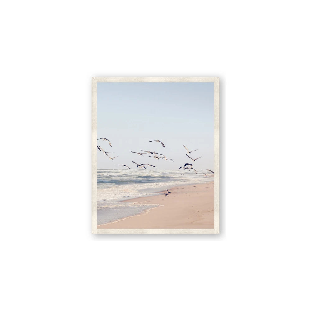 Beach Birds