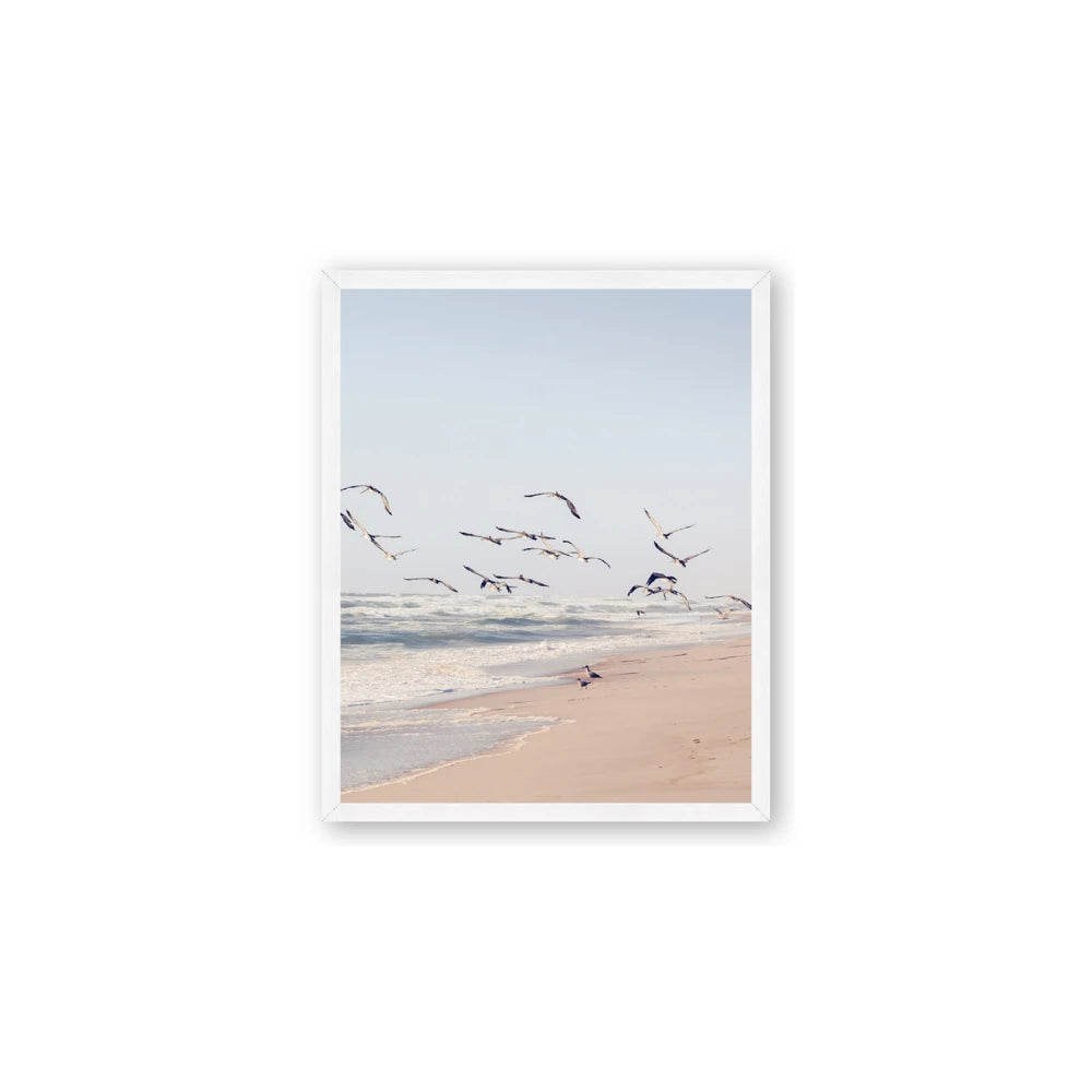 Beach Birds