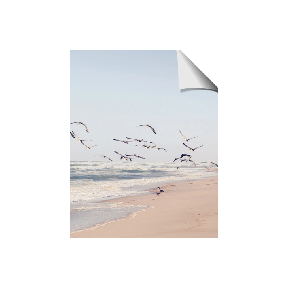 Beach Birds