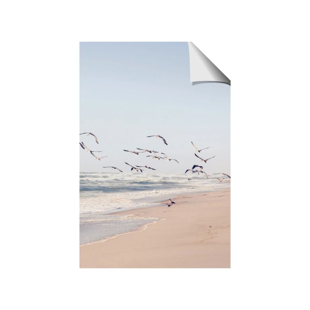 Beach Birds