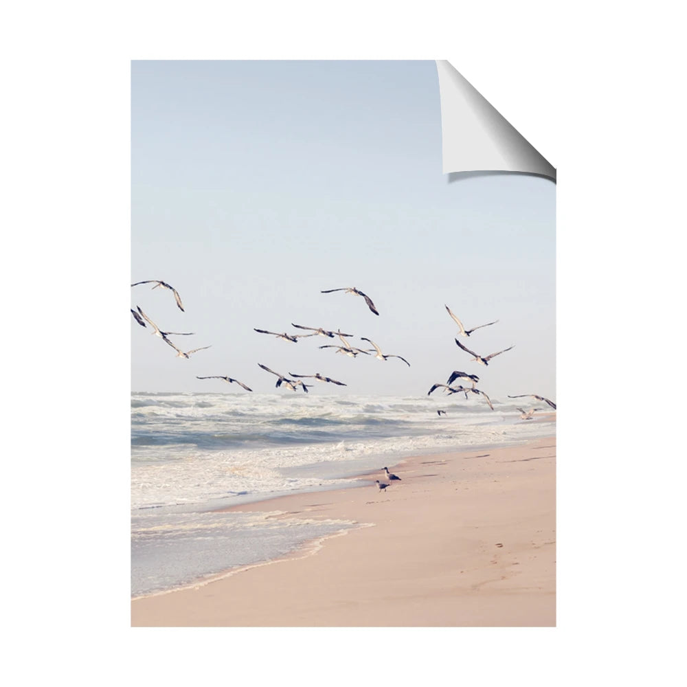Beach Birds