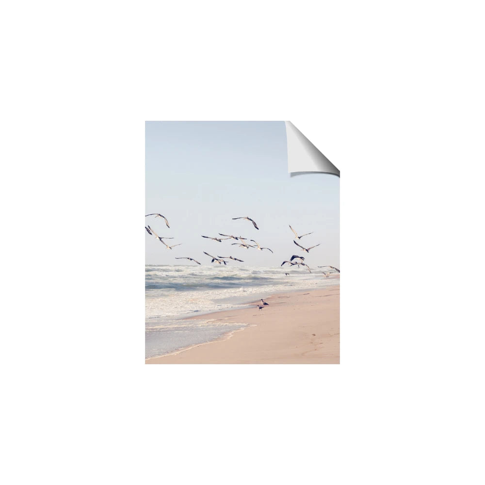 Beach Birds