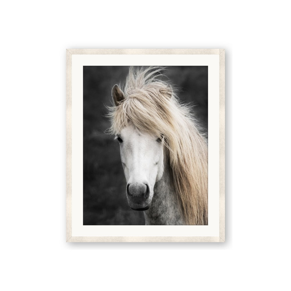 Stallion 