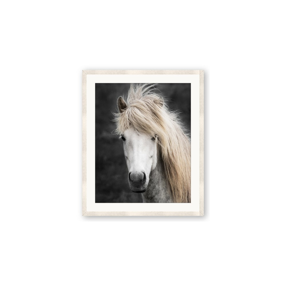 Stallion 