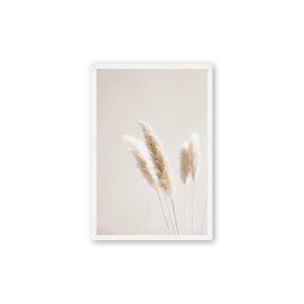 White Cluster petaled flower